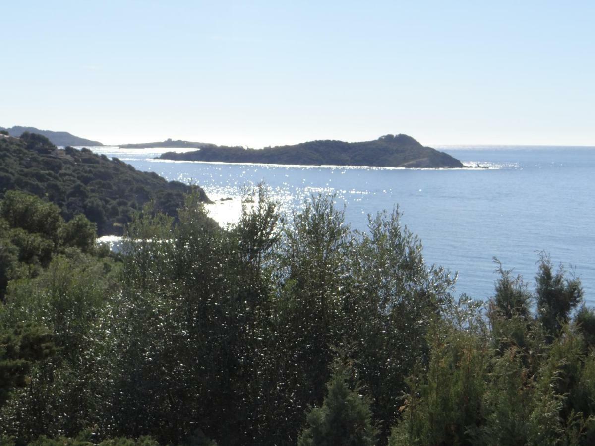 Appartement Vue Mer, Presqu'Il De Giens 耶尔 外观 照片